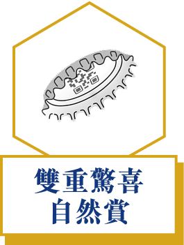 即揭即中